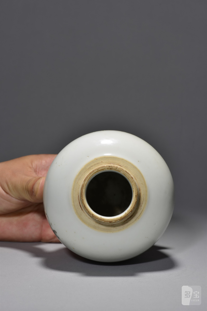 清光绪 南岸道人浅绛彩洞石花鸟纹盖罐 - 图5